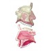 Model of the Anatomical Nasal Cavity Model