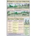 Movements & section formation Chart