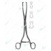 Museux Uterine Tenaculum Forceps, 240 mm
