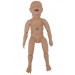 New Born Baby Model