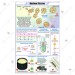 Nuclear Fission