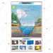 Oxygen cycle Chart