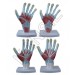 Palm Anatomy Model