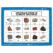 Minerals Used in Cement Industry (Set of 15)
