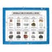 Minerals Used in Building a House (Set of 10)