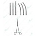 Pean Forceps
