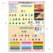Pedigree Analysis -4 Chart