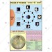 Phases of the Moon Chart