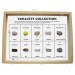 Minerals Tenacity Collection (Set of 10)