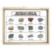 Minerals Used in Ceramics Industry (Set of 10)