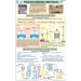 Prep. of Ammonia & Haber Process