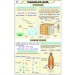 Prep. of Hitrozen and Carbon dioxide Chart