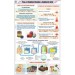 Prep. of Sulphur Dioxide & Sulphuric Acid Chart