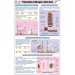 Prep. of Nitrogen & Nitric Acid Chart