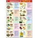 Rocks & Minerals Chart