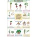 Root Modifications Chart