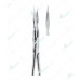 Root Splinter Extracting Forceps, Roots fragments