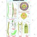 Roundworm