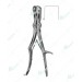 Sauerdruch-Coryllos Rib Rongeur, 310 mm