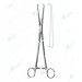 Schroder Forceps