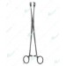 Schroder Uterine Tenaculum Forceps, 270 mm