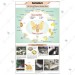 Sericulture (L. H. Silkworm)