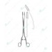 Sims-Maier Forceps
