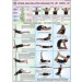 Spine & Related Organs Chart