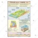 Streams (Rivers) Charts