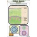 T.S. root - Monocot Chart