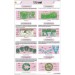 T.S Leaf - Monocot Chart
