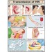 Transmission of HIV