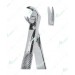 Universal Extracting Forceps, lower teeth
