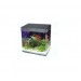 Aquarium Kit