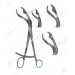 Verbrugge Bone Holding Forceps, with tip joint, 255 mm