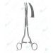 Wertheim Forceps