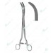 Wertheim Forceps, Parametrium clamps