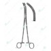 Wertheim Kidney Clamps, 225 mm
