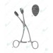 Young Forceps